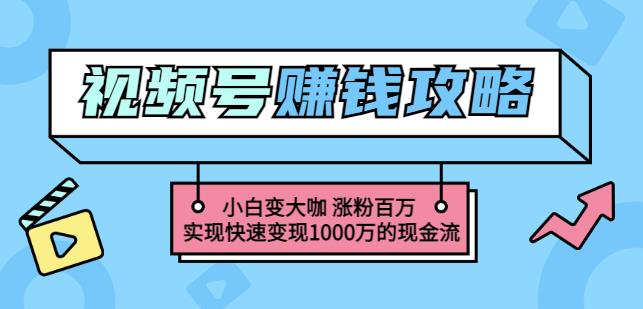 玩转微信视频号赚钱:小白变大咖涨粉百万实现快速变现1000万的现金流-第一资源库