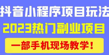 抖音小程序9.0新技巧，2023热门副业项目，动动手指轻松变现-第一资源库