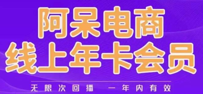 阿呆电商线上年会员,阿呆电商干货分享(更新中)-第一资源库