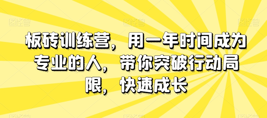 板砖训练营,用一年时间成为专业的人,带你突破行动局限,快速成长-第一资源库