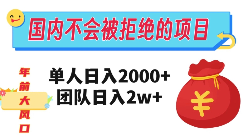 在国内不怕被拒绝的项目,单人日入2000,团队日入20000+【揭秘】-第一资源库