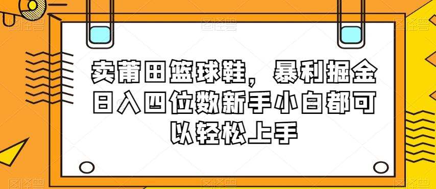 卖莆田篮球鞋，暴利掘金日入四位数新手小白都可以轻松上手【揭秘】-第一资源库
