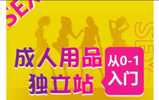 成人用品独立站从0-1入门，成品独立站运营全流程教学，七大好卖成品独立站推荐-第一资源库