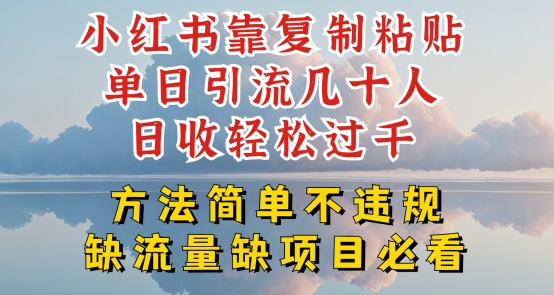 小红书靠复制粘贴单日引流几十人目收轻松过千,方法简单不违规【揭秘】-第一资源库