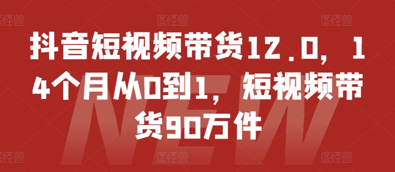 抖音短视频带货12.0，14个月从0到1，短视频带货90万件-第一资源库