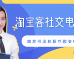 某站内部课程：淘宝客社交电商裂变，精准引流和粉丝裂变模式详解（共6节视频）-第一资源库