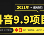 抖音9.9课程项目，没粉丝也能卖课，一天300+粉易变现-第一资源库
