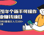 20多个新手可操作的副业赚钱项目：业余时间0基础日入几500+实操分享-第一资源库