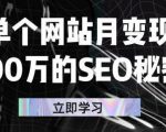 单个网站月变现100万的SEO秘密，百分百做出赚钱站点-第一资源库