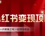 渣圈学苑·小红书虚拟资源变现项目，一起捞钱掘金价值1099元-第一资源库