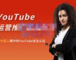 外国人眼中的YouTube该怎么玩?Elisa·YouTube运营推广实战技巧-第一资源库