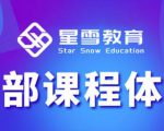 星雪教育淘系高级班，更全的运营提升方案，零基础由浅入深，店铺最新玩法-第一资源库