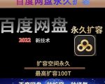 百度网盘无限扩容技术,外面卖399的,无论自己用还是用做引流都可以-第一资源库