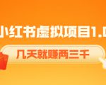 《小红书虚拟项目1.0》账号注册+养号+视频制作+引流+变现,几天就赚两三千-第一资源库