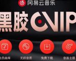 网易云音乐撸黑胶年卡及变现方法，收益可无限放大-第一资源库