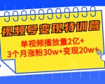 21天视频号变现特训营：单视频播放量2亿+3个月涨粉30w+变现20w+（第14期）-第一资源库