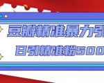 豆瓣精准暴力引流，日引精准粉500+【12课时】-第一资源库