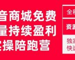 抖音商城搜索持续盈利陪跑成长营，抖音商城搜索从0-1、从1到10的全面解决方案-第一资源库