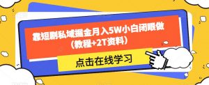 靠短剧私域掘金月入5W小白闭眼做（教程+2T资料）-第一资源库