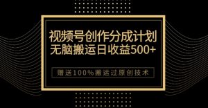 最新视频号创作分成计划，无脑搬运一天收益500+，100%搬运过原创技巧【揭秘】-第一资源库