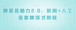 拼多多助力2.0：机刷+人工全套喂饭式教程【揭秘】-第一资源库