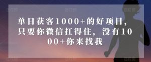 单日获客1000+的好项目,只要你微信扛得住,没有1000+你来找我【揭秘】-第一资源库