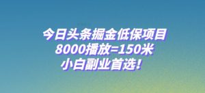 今日头条掘金低保项目，8000播放=150米，小白副业首选【揭秘】-第一资源库
