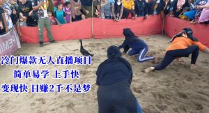 冷门爆款无人直播项目,简单易学上手快,变现快日赚2千不是梦【揭秘】-第一资源库