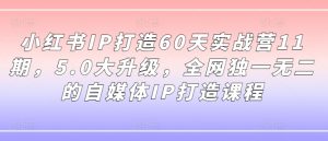 小红书IP打造60天实战营11期，5.0大升级，全网独一无二的自媒体IP打造课程-第一资源库