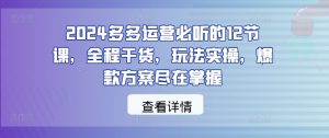 2024多多运营必听的12节课,全程干货,玩法实操,爆款方案尽在掌握-第一资源库