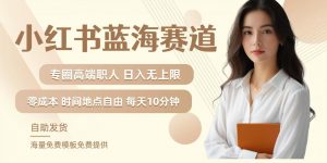 小红书蓝海赛道，圈中高端职场人，月入无上限，可矩阵，内含私域实操教程!-第一资源库