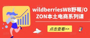 wildberriesWB野莓/OZON本土电商系列课,掌握WB产品优化,出单技巧和订单处理等-第一资源库