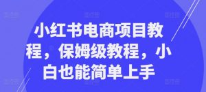 小红书电商项目教程,保姆级教程,小白也能简单上手-第一资源库