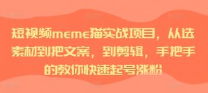 短视频meme猫实战项目，从选素材到把文案，到剪辑，手把手的教你快速起号涨粉-第一资源库