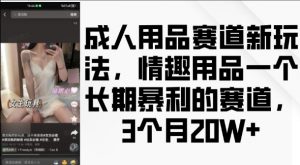 成人用品赛道新玩法,情趣用品一个长期暴利的赛道,3个月收益20个【揭秘】-第一资源库