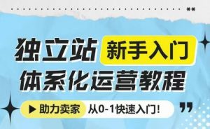独立站新手入门体系化运营教程,助力独立站卖家从0-1快速入门!-第一资源库