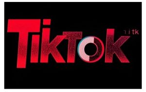 TikTok ads投流秘籍，涵盖tiktok整体投放思路，教你搭建测试计划-第一资源库