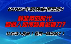 2025年最强变现思路，割韭菜的时代， 普通人如何翻身做镰刀？【揭秘】-第一资源库